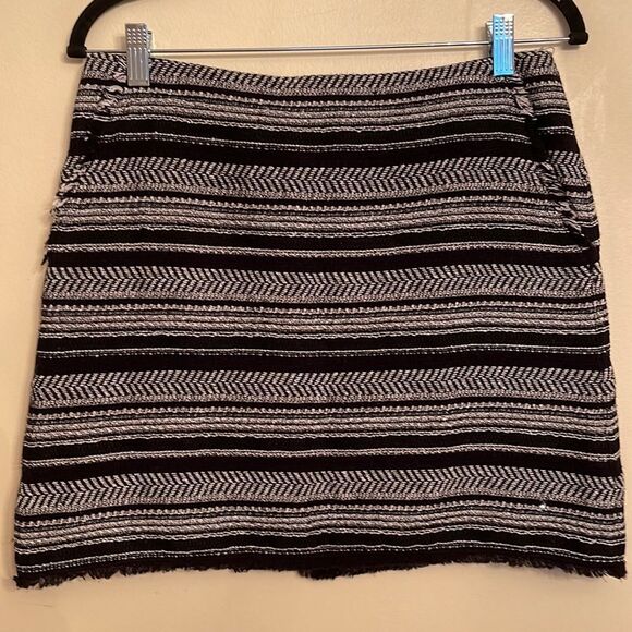 Ann Taylor Loft Fall Skirt - Picture 1 of 8